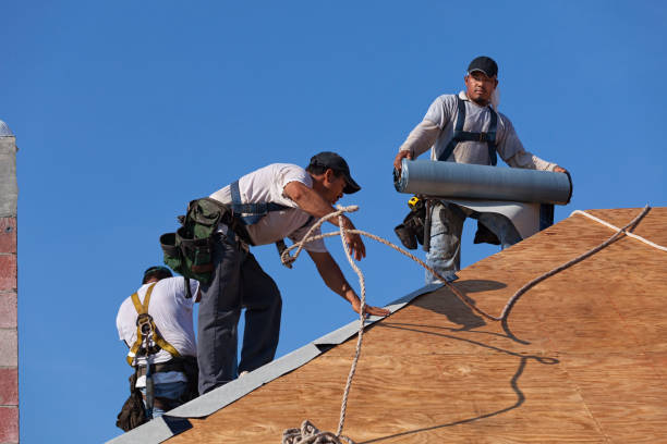 Best Roof Maintenance Services  in Linda, CA